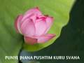White Tara (Long Life) Mantra