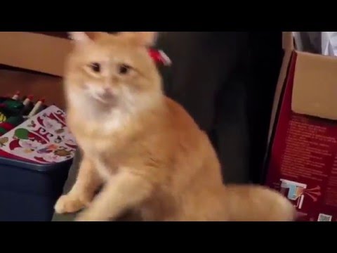 YouTube Трейлер