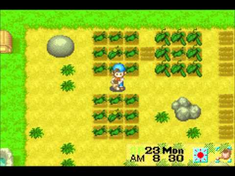 how to make a plain omelet in harvest moon