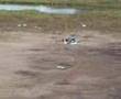 4-rotor-ufo-rc-quadr