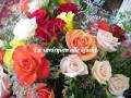 videos de Annie - powerpoint - Rozen 2