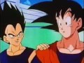 Tribute to Goten e Trunks