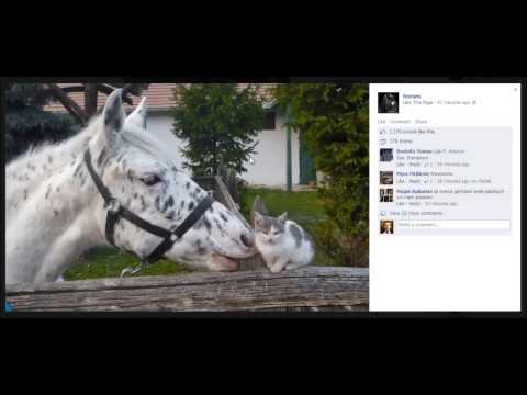 how to copy photos from facebook to pc