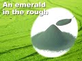 7 Supplements for Good Health #5 Chlorella 7 Supplements for Good Health #5 Chlorella
