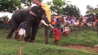 Click to view the video of Vela at Mangottu Bhagavathi Temple