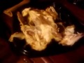 Click here to watch this video RANDOM BULLSHIT EPISODE 2 David Blaze