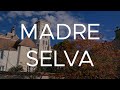 Madre Selva