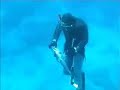 Spearfishing   Epinephelus