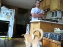 andre making breakfast