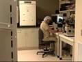 Oocyte Cryopreservation (Egg Freezing)