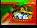 Zvjezdan Misimović napušta reprezentaciju BiH