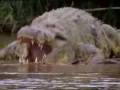 - The giant crocodile  cocodrilo gigante