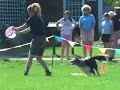 Skyhoundz Shelburne Local Demos