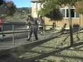 videos de Have Fun in Japan Terence!