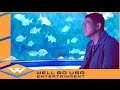 Ocean Heaven (Trailer)