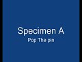Specimen a - Pop the pin Specimen a - Pop the pin
