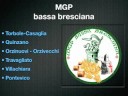 LOGHI MGP BRESCIA - BASSA BRESCIANA - GIOVANI BRESCIANI
