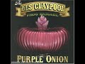 the les claypool frog brigade purple onion 2002