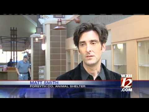 forsyth county forsyth county