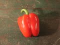 My Pepper Heart by PES My Pepper Heart by PES