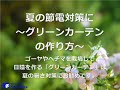 【動画HowTo】夏の節電対策に~グリーンカーテンの作り方~ 節電レシピ
