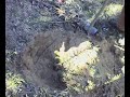 JS - FAFE ENVOLVEU JOVENS NA PRESERVA��O DA FLORESTA (3)