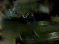 videos de Pintando la yonicueva