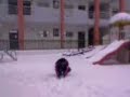 snow china