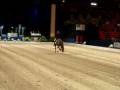 videos de Briars Avslut i Globen 2008