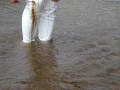 Flooding And Paddling Those White Thigh Boots