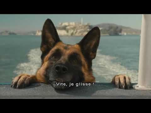 Extrait : Chats et chiens : La revanche de Kitty Galore
