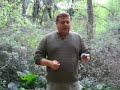 Clicker Training - How to clicker train your dog
