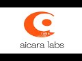 aicara labs, study meeting 2nd, 24th Nov