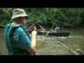 videos de OWLS On The Etowah River