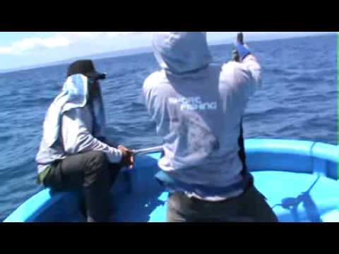 DAIWA SALTIST - Maglure.