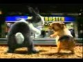 Video bugil,,, tanpa sensor,,, goyang xxx Video bugil,,, tanpa sensor,,, goyang xxx