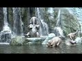 Disneyworld Magic Kingdom Part1