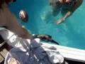 leia swimming