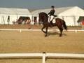 Campeonato de España doma clasica 1