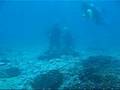videos de Excursión ala Isla de Malpelo - Aquasub Dive Travel