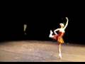 videos de Welton nascimbene e Raquel rampazzo EIDAP 2008 03