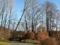 videos de Feuerwehr Mintraching