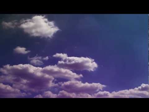 Chrome Canyon - Branches