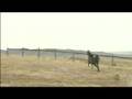 BWO - Chariots of Fire
