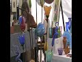 Bellingham Market - Hand Blown Glass - Bellingham, Wa