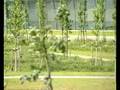Park boven rijksweg in Prinsenbeek