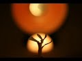 hemp.wmv