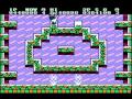 acidglow and a friend play snow brothers on nintendo nes, co op playthrough.