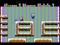 acidglow and a friend play snow brothers on nintendo nes, co op playthrough.