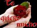 N'sync ♪♪ *yo te voy amar*♪♪ (letras)♪♪♪ ~y4n3th~♪♪♪